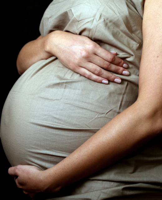 Jadel Studios product catalog